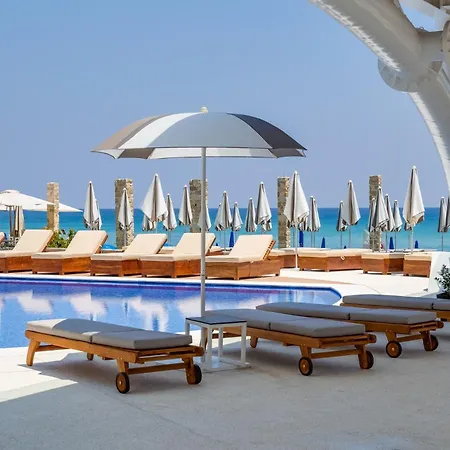 Flamingo Paradise - Adults Only