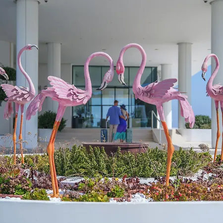 Flamingo Paradise - Adults Only 4* Πρωταράς