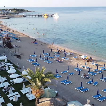 Flamingo Paradise - Adults Only Πρωταράς