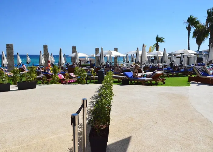 Отель Flamingo Paradise - Adults Only 4*